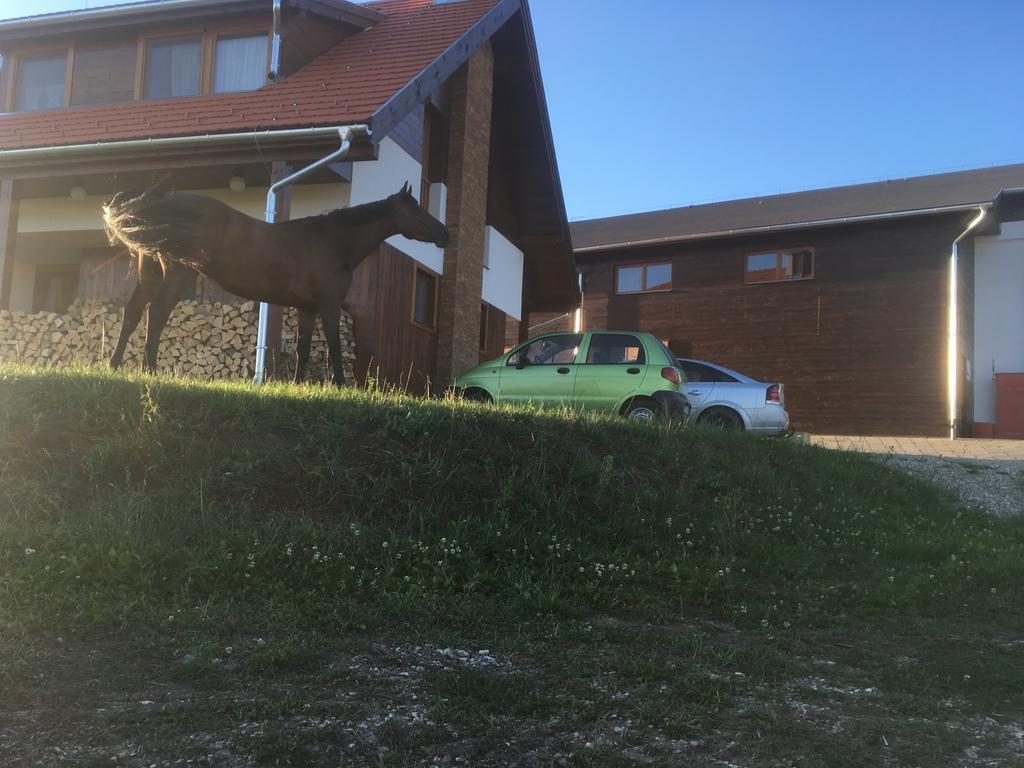 Kavalliera Pensiune Cotormani Exteriör bild